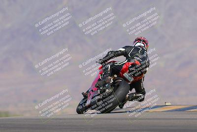 media/Nov-12-2023-SoCal Trackdays (Sun) [[5d1fba4e7d]]/Turn 9 Backside (1015am)/